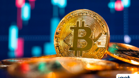 Cryptocurrency 101: Everything You Need to Know About Bitcoin and Beyond